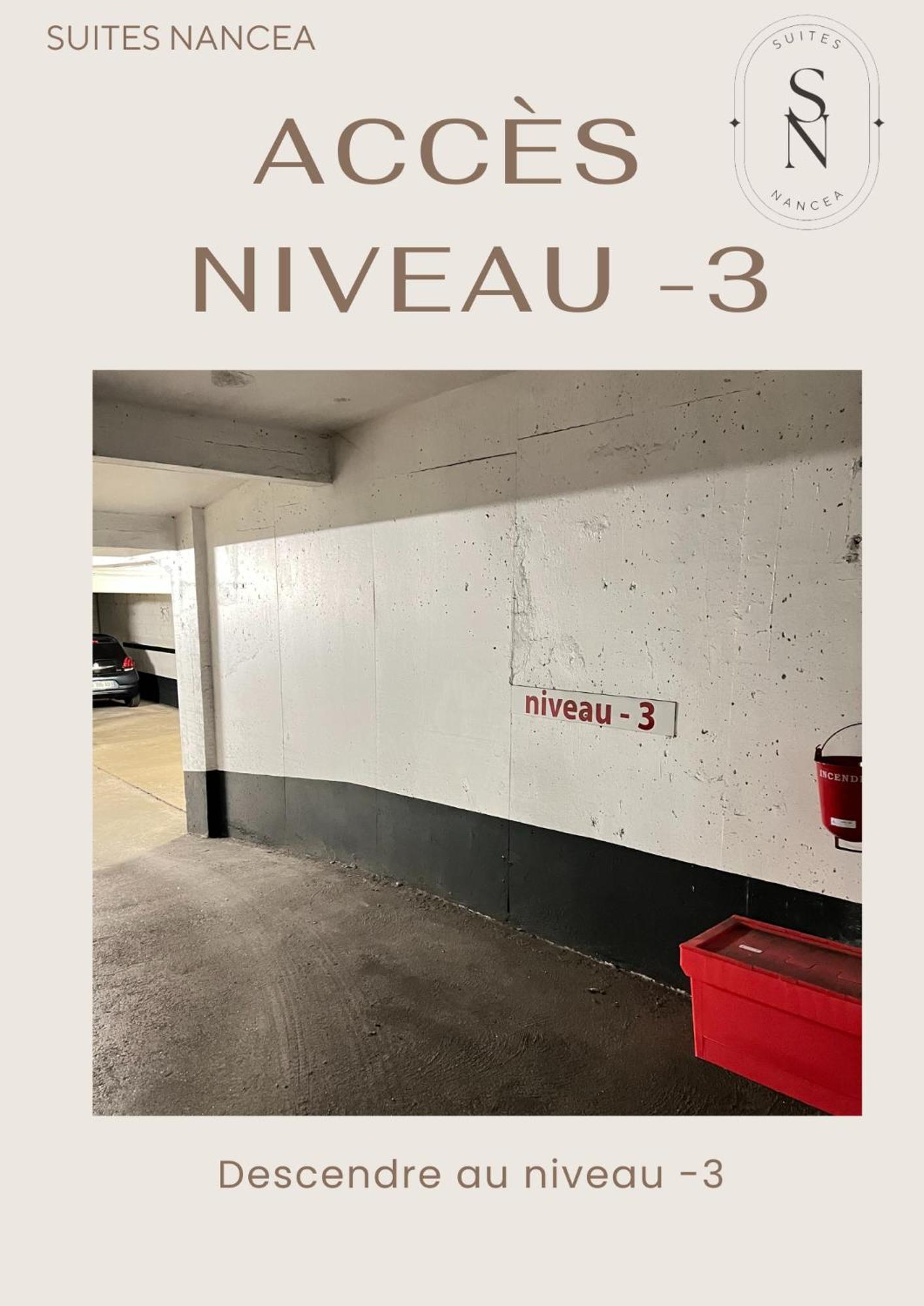 Vue Sur Le Palais - Nancy Gare Congres - Parking - T3 Apartment Exterior foto